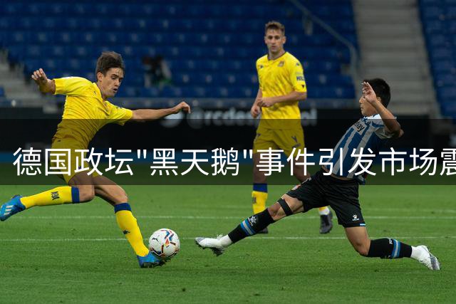 德国政坛"黑天鹅"事件引发市场震荡